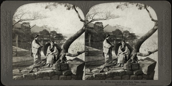 By the lotus pond, Shiba Park, Tokio, Japan, Stereo Card, C.H. Graves, Universal Photo Art, 1902