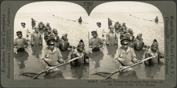 Russian Fishermen Drawing their Nets on the Lower Volga River, Russia, Stereo Card, Keystone View Company, early 1900's