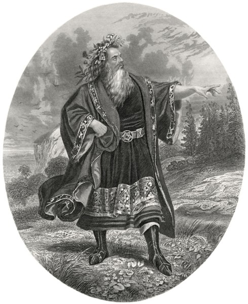 Mr. Edwin Forrest as King Lear, Illustration by Henry J. Johnson, Harper's Monthly Magazine, 1879