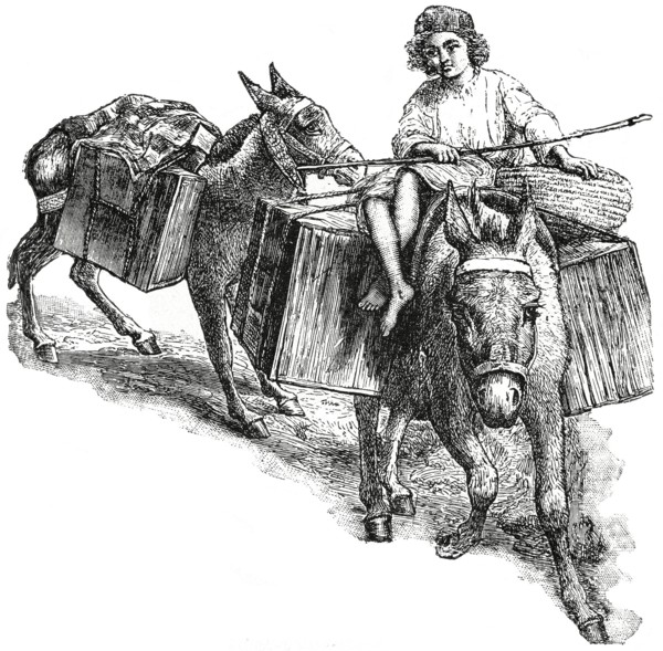Loads on Donkeys, Palestine, 1890's, Illustration, Classical Portfolio of Primitive Carriers, by Marshall M. Kirman, World Railway Publ. Co., Illustration, 1895