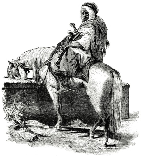 Syrian Bedouin at Desert Well, 1890's, Illustration, Classical Portfolio of Primitive Carriers, by Marshall M. Kirman, World Railway Publ. Co., Illustration, 1895
