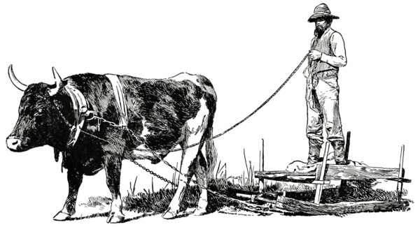 Ox and Sled, Ashville, North Carolina, USA, Illustration, Classical Portfolio of Primitive Carriers, by Marshall M. Kirman, World Railway Publ. Co., Illustration, 1895