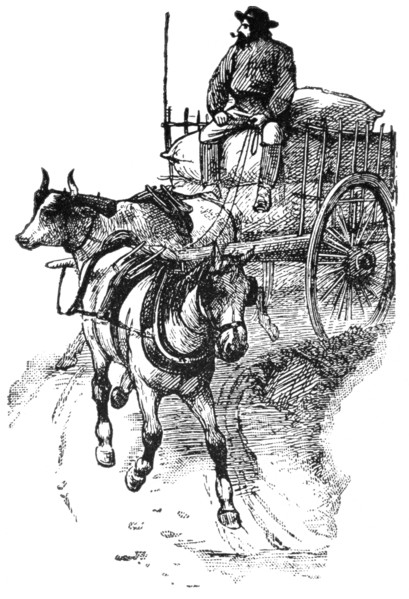 Horse and Ox Cart of Red River near Winnipeg, Canada, Illustration, Classical Portfolio of Primitive Carriers, by Marshall M. Kirman, World Railway Publ. Co., Illustration, 1895