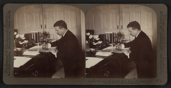 President Theodore Roosevelt Signing Bills, White House, Washington DC, USA, Stereo Card, Underwood & Underwood, 1903