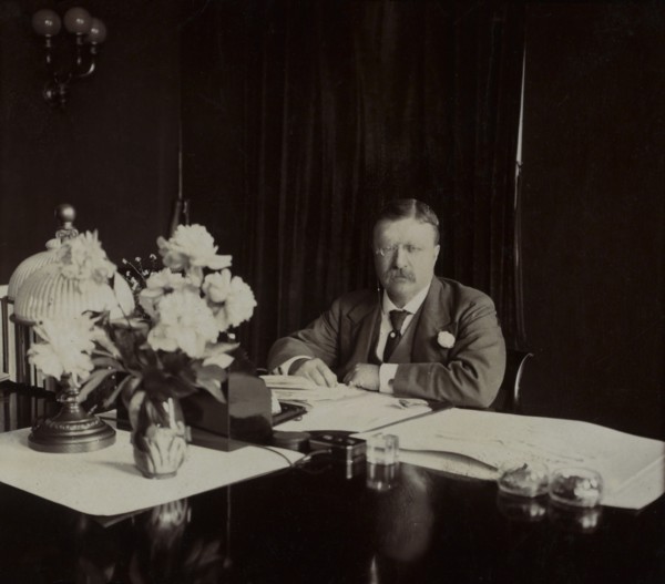 U.S. President Theodore Roosevelt, Seated Portrait at Desk, Washington DC, USA, by Fred H. White, 1907