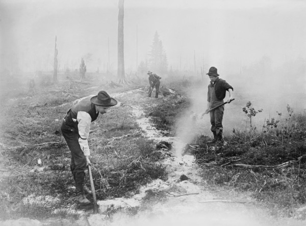 Fighting Forest Fire, South Dakota, USA, Bain News Service, 1910's