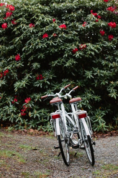 Two White Bicycles Parked near Flowering Shrub