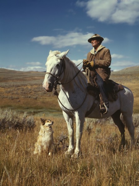 Shepherd with his Horse and Dog on Gravelly Range, Madison County, Montana, USA, Russell Lee, Office of War Information, August 1942