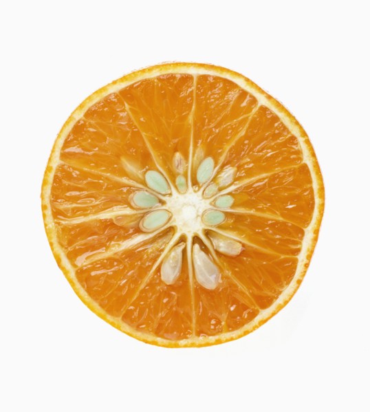 Fresh Orange Sliced in Half