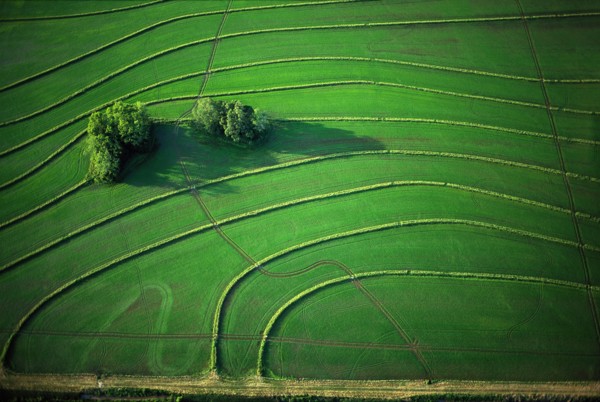 Green Fields Abstract, High Angle View