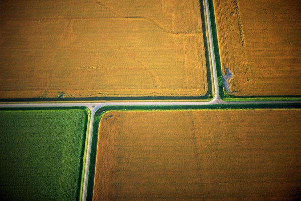 Tan Fields, High Angle View