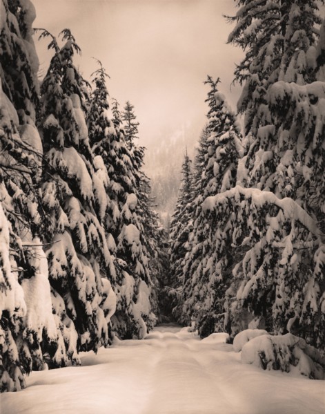 Snow Covered Road