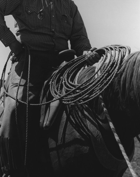 Cowboy with Rope