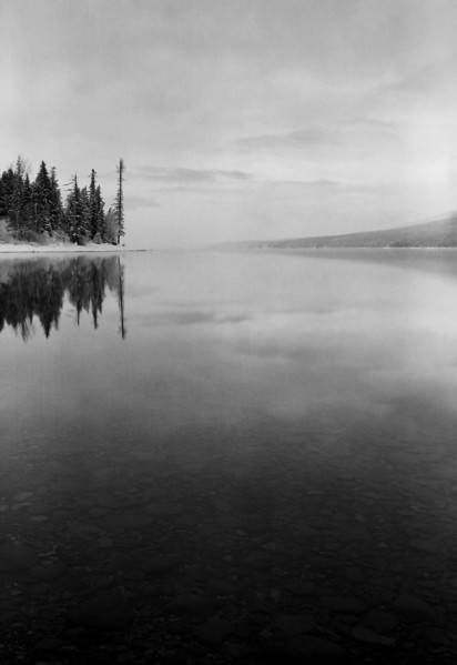 Trees Reflecting at Edge of Lake