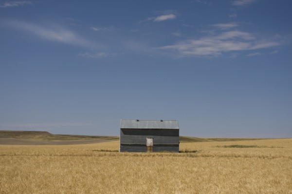Single Farm Building in Wheat Field