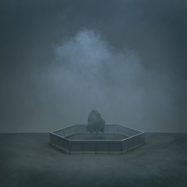Miniature Tree Surrounded by Hexagon Fence