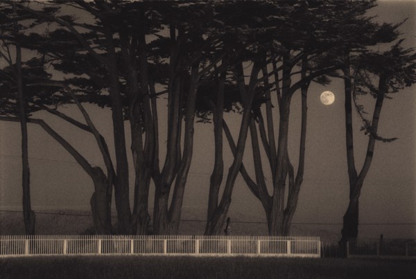 Twilight and Reverie