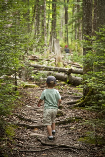 Young Boy Hiking on Path in Woods, Rear View