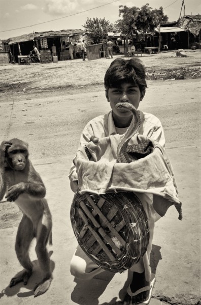 Young Man With Cobra and Monkey, Agra, India