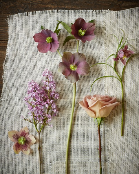 Stems of Purple Flowers on Gauze Fabric