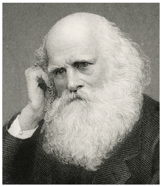 William Cullen Bryant (1794-1878), American Poet, Journalist and Editor of New York Evening Post, Head and Shoulders Portrait, Steel Engraving, Portrait Gallery of Eminent Men and Women of Europe and ...