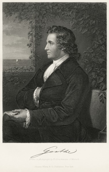Johann Wolfgang von Goethe (1749-1832), German Writer and Statesman, Seated Portrait, Steel Engraving, Portrait Gallery of Eminent Men and Women of Europe and America by Evert A. Duyckinck, Published ...