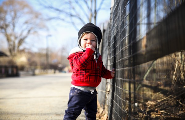 Three-Quarter Length Portrait of Young Boy Standing next to Fence