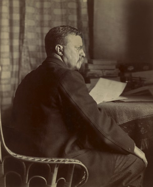 Theodore Roosevelt (1858-1919) 26th President of the United States 1901-09, Three-Quarter Length Portrait, Photograph by Arthur Hewitt, June 7, 1901