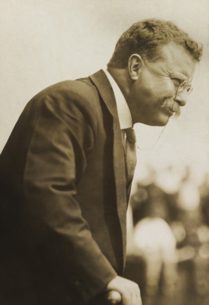 Theodore Roosevelt (1858-1919), 26th President of the United States 1901-09, Half-Length Profile Portrait, November 1911