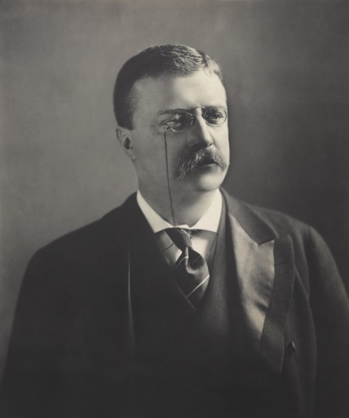 Theodore Roosevelt (1858-1919), 26th President of the United States 1901-09, Head and Shoulders Portrait, Photograph by M.P. Rice, 1902
