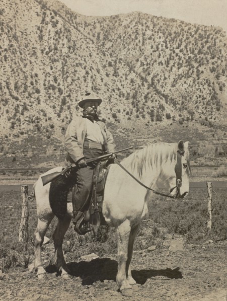 U.S. President Theodore Roosevelt on Horseback Carrying Rifle, Underwood & Underwood, 1905
