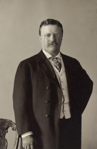 Theodore Roosevelt (1858-1919), 26th President of the United States 1901-09, Half-Length Portrait, Photograph by Pach Bros., May 11, 1904