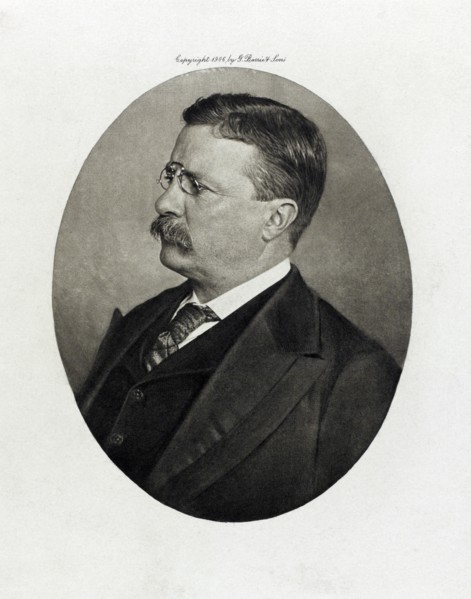 Theodore Roosevelt (1858-1919), 26th President of the United States 1901-09, Head and Shoulders Portrait, Photograph by G. Barrie & Sons, 1906