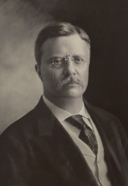 Theodore Roosevelt (1858-1919), 26th President of the United States 1901-09, Head and Shoulders Portrait, Photograph by George Prince, 1904