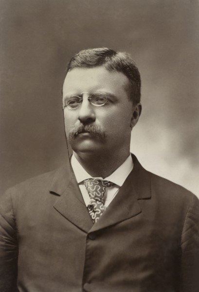 Theodore Roosevelt (1858-1919), 26th President of the United States 1901-09, Head and Shoulders Portrait as New York Governor, Photograph by George Prince, 1900