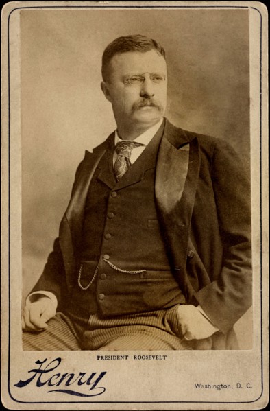 Theodore Roosevelt (1858-1919), 26th President of the United States 1901-09, Half-Length Seated Portrait, Photograph by Henry, Washington, D.C. 1902