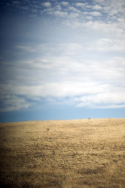 Rural Plains Landscape