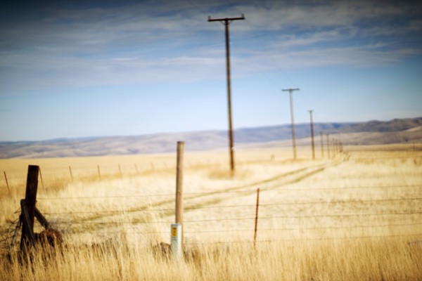 Utility Poles through Rural Landscape