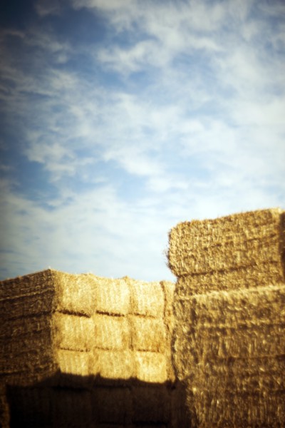 Haystacks and Shadows