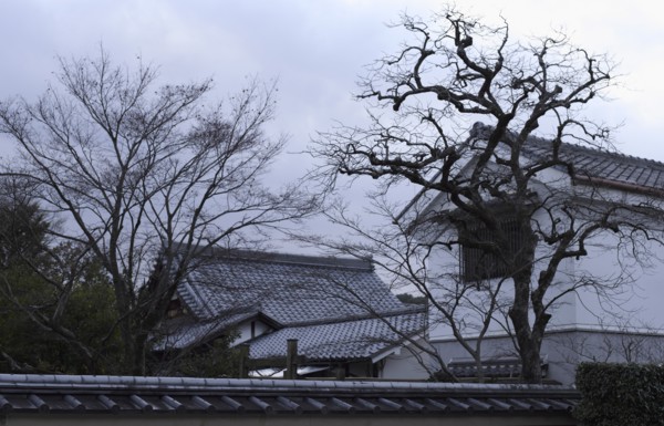 Daitoku-ji Temple