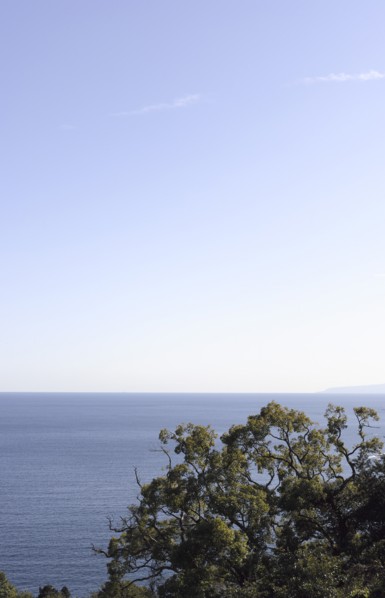 View of Sagami Bay