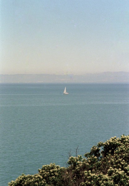 Sailboat in Bay,,