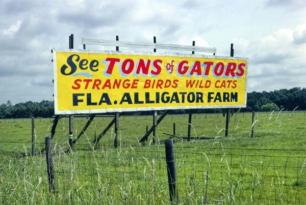 Billboard, Florida Alligator Farm