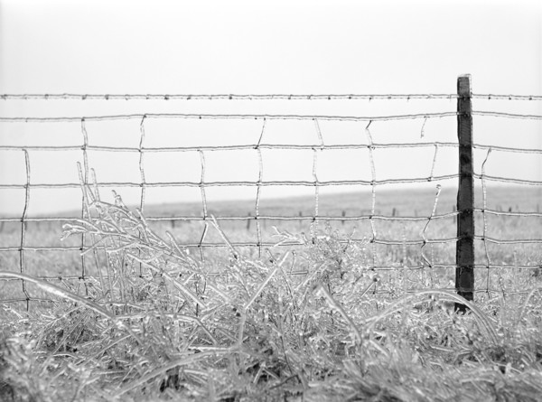 Frozen Barbed Wire Fence, Rockingham County
