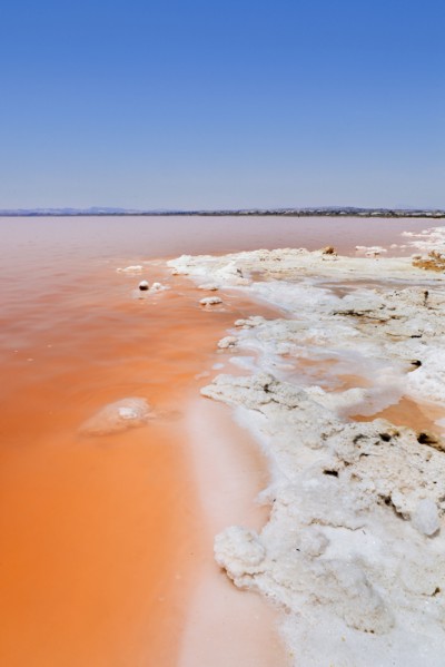 Pink Salt Lake, Torrevieja