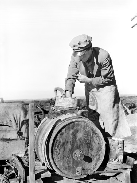 man, occupations, migrant worker, agriculture, historical,