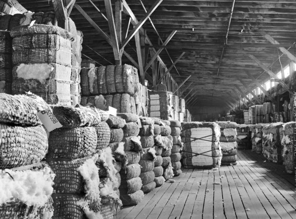 cotton, warehouse, agriculture, textiles, historical,