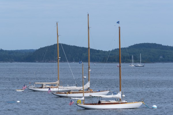 Three Wooden Yachts moored in Harbor