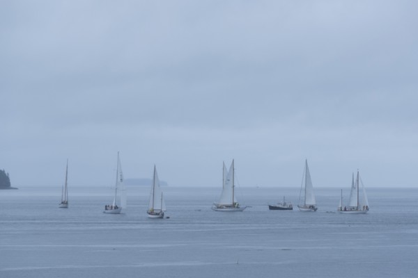 Yachts Racing