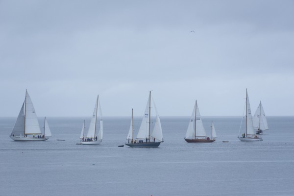 Yachts Racing